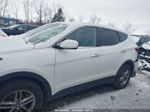 2018 Hyundai Santa Fe Sport 2.4l White vin: 5XYZT3LB3JG571703