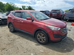 2013 Hyundai Santa Fe Sport  Maroon vin: 5XYZT3LB4DG026680