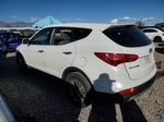 2014 Hyundai Santa Fe Sport  White vin: 5XYZT3LB4EG203374