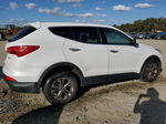 2013 Hyundai Santa Fe Sport  White vin: 5XYZT3LB5DG058389