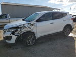 2013 Hyundai Santa Fe Sport  White vin: 5XYZT3LB5DG058389