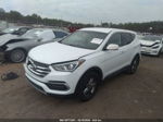 2018 Hyundai Santa Fe Sport 2.4l Белый vin: 5XYZT3LB5JG569256