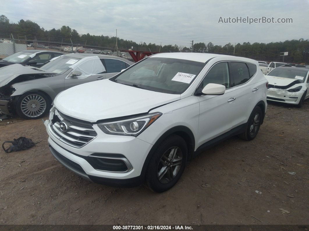 2018 Hyundai Santa Fe Sport 2.4l Белый vin: 5XYZT3LB5JG569256