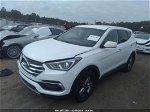 2018 Hyundai Santa Fe Sport 2.4l Белый vin: 5XYZT3LB5JG569256