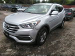 2018 Hyundai Santa Fe Sport 2.4l Серебряный vin: 5XYZT3LB6JG551218