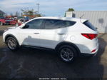 2018 Hyundai Santa Fe Sport 2.4l Белый vin: 5XYZT3LB6JG563045