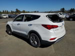 2018 Hyundai Santa Fe Sport  Белый vin: 5XYZT3LB6JG569248