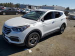 2018 Hyundai Santa Fe Sport  Белый vin: 5XYZT3LB6JG569248