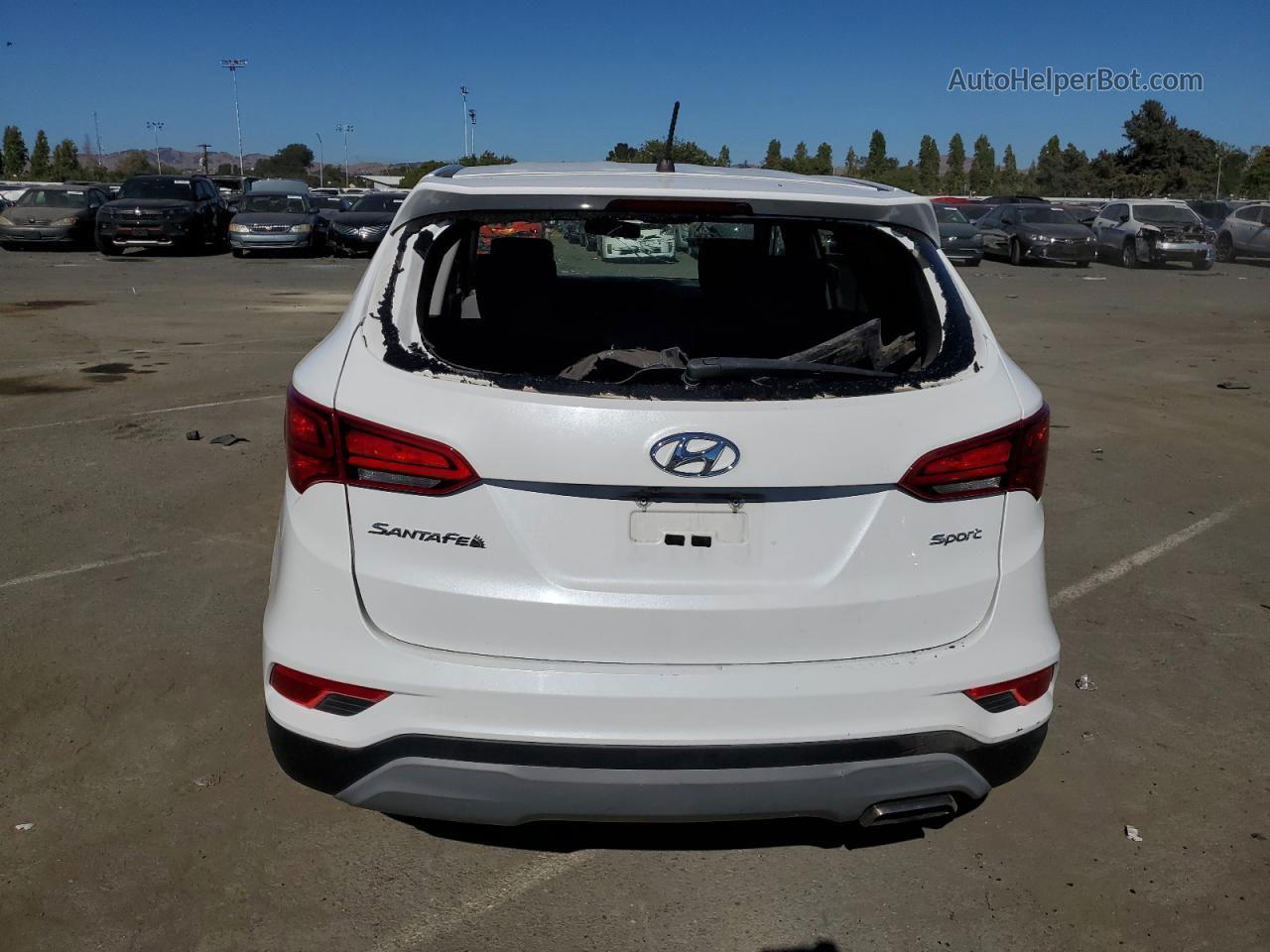 2018 Hyundai Santa Fe Sport  Белый vin: 5XYZT3LB6JG569248