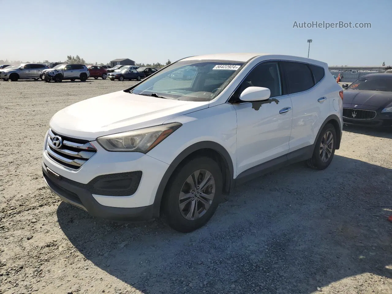 2013 Hyundai Santa Fe Sport  Белый vin: 5XYZT3LB7DG016662