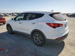 2013 Hyundai Santa Fe Sport  Белый vin: 5XYZT3LB7DG016662