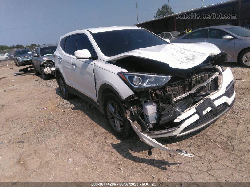 2018 Hyundai Santa Fe Sport 2.4l White vin: 5XYZT3LB7JG510614