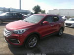 2018 Hyundai Santa Fe Sport 2.4l Темно-бордовый vin: 5XYZT3LB8JG527065