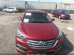 2018 Hyundai Santa Fe Sport 2.4l Темно-бордовый vin: 5XYZT3LB8JG527065