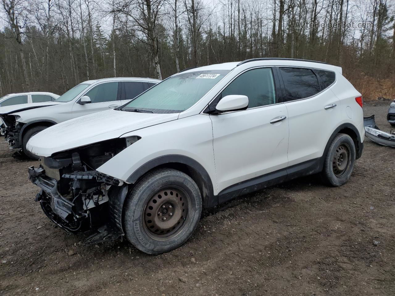 2014 Hyundai Santa Fe Sport  White vin: 5XYZT3LB9EG174678