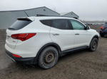 2014 Hyundai Santa Fe Sport  Белый vin: 5XYZT3LB9EG174678