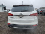 2014 Hyundai Santa Fe Sport  Белый vin: 5XYZT3LB9EG174678