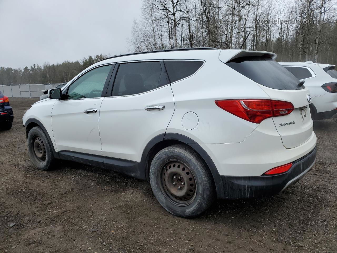 2014 Hyundai Santa Fe Sport  White vin: 5XYZT3LB9EG174678