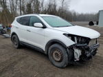 2014 Hyundai Santa Fe Sport  Белый vin: 5XYZT3LB9EG174678