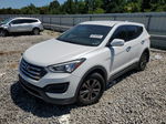 2014 Hyundai Santa Fe Sport  Белый vin: 5XYZT3LB9EG223037