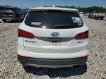 2014 Hyundai Santa Fe Sport  Белый vin: 5XYZT3LB9EG223037