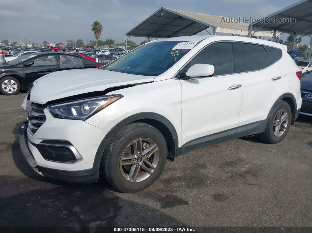 2018 Hyundai Santa Fe Sport 2.4l White vin: 5XYZT3LBXJG555627