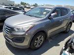 2014 Hyundai Santa Fe Sport  Серый vin: 5XYZTDLB2EG153063