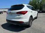 2013 Hyundai Santa Fe Sport  Белый vin: 5XYZTDLB4DG016687