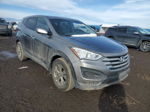 2014 Hyundai Santa Fe Sport  Серый vin: 5XYZTDLB5EG145863