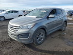 2014 Hyundai Santa Fe Sport  Gray vin: 5XYZTDLB5EG145863