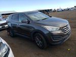 2014 Hyundai Santa Fe Sport  Коричневый vin: 5XYZTDLB6EG164115