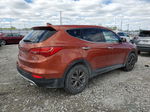 2013 Hyundai Santa Fe Sport  Оранжевый vin: 5XYZTDLB7DG028297