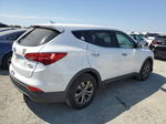 2014 Hyundai Santa Fe Sport  Белый vin: 5XYZTDLB7EG165029