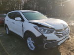 2018 Hyundai Santa Fe Sport  White vin: 5XYZTDLB9JG550778