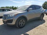 2013 Hyundai Santa Fe Sport  Gray vin: 5XYZTDLBXDG097579