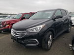 2018 Hyundai Santa Fe Sport  Черный vin: 5XYZTDLBXJG531351