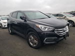 2018 Hyundai Santa Fe Sport  Черный vin: 5XYZTDLBXJG531351