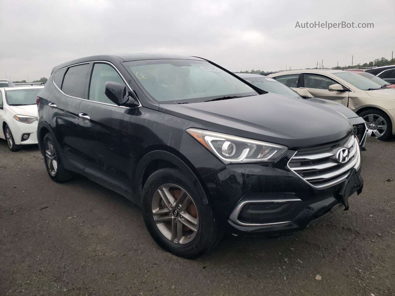 2018 Hyundai Santa Fe Sport  Черный vin: 5XYZTDLBXJG531351