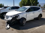 2014 Hyundai Santa Fe Sport  White vin: 5XYZU3LA0EG221892