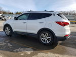 2013 Hyundai Santa Fe Sport  White vin: 5XYZU3LA1DG107950