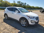 2014 Hyundai Santa Fe Sport  Белый vin: 5XYZU3LA2EG231887