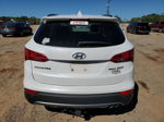 2014 Hyundai Santa Fe Sport  Белый vin: 5XYZU3LA2EG231887