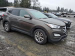 2014 Hyundai Santa Fe Sport  Угольный vin: 5XYZU3LA3EG125688