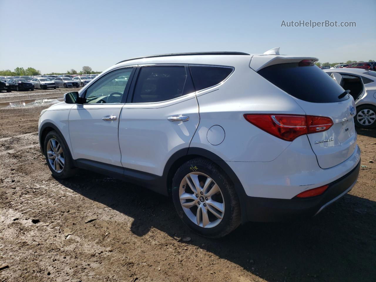 2014 Hyundai Santa Fe Sport  White vin: 5XYZU3LA4EG161101