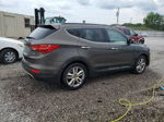 2013 Hyundai Santa Fe Sport  Brown vin: 5XYZU3LA5DG098833