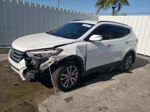 2014 Hyundai Santa Fe Sport  White vin: 5XYZU3LA5EG202447