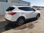 2014 Hyundai Santa Fe Sport  White vin: 5XYZU3LA5EG202447