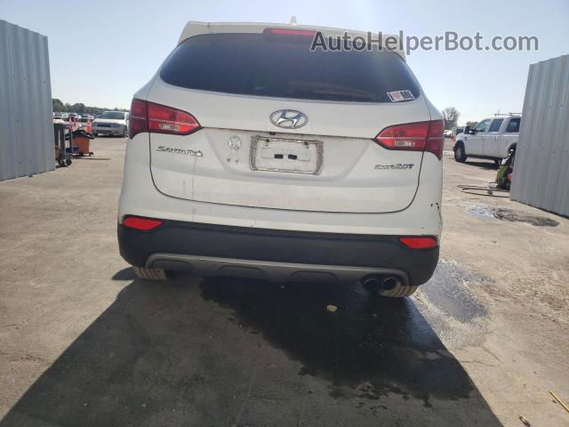 2014 Hyundai Santa Fe Sport  White vin: 5XYZU3LA5EG202447