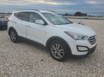 2014 Hyundai Santa Fe Sport  White vin: 5XYZU3LA5EG220589