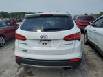 2014 Hyundai Santa Fe Sport  White vin: 5XYZU3LA7EG208427